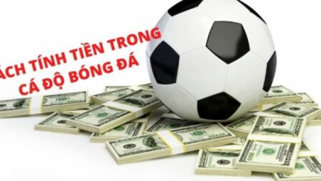 Hướng dẫn cách tính tiền thưởng nhận được trong cá độ bóng đá